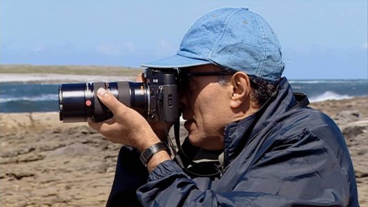 Abbas Kiarostami: The Art of Living