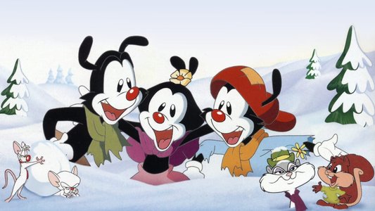 Animaniacs: Wakko's Wish