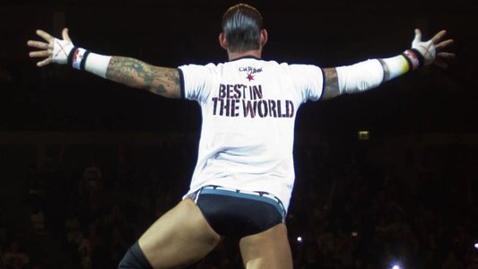 CM Punk: Best in the World