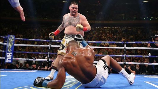 One Night: Joshua vs. Ruiz