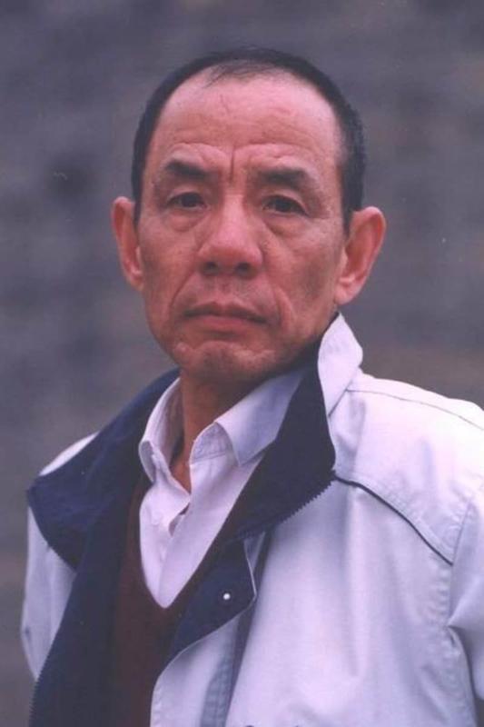 Wei zongwan